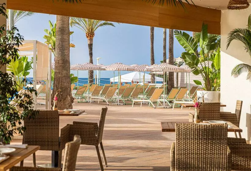 Fotos del hotel Sol House The Studio - Calviá Beach:  43