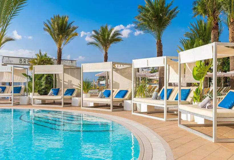 Fotos del hotel Sol House The Studio - Calviá Beach:  11