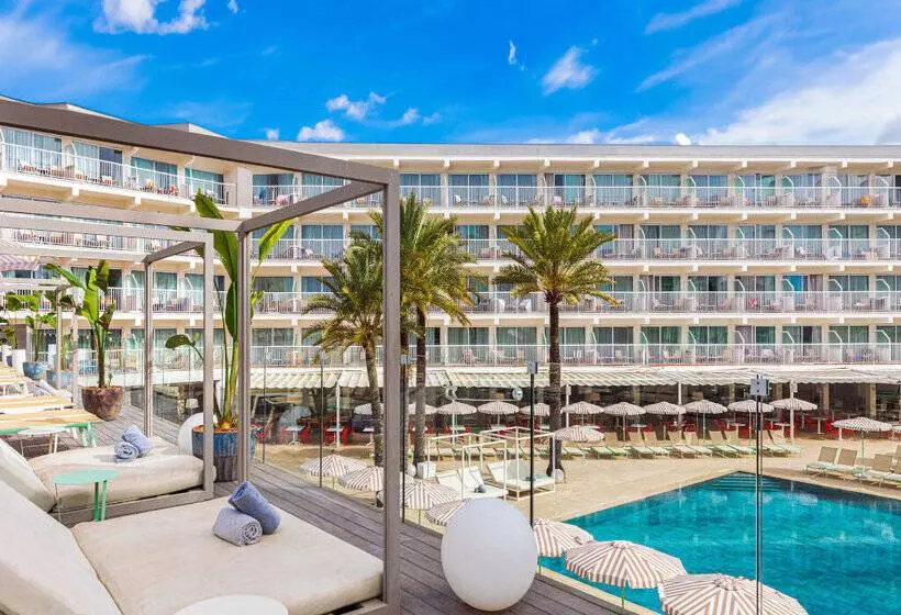 Fotos del hotel Sol House The Studio - Calviá Beach:  71