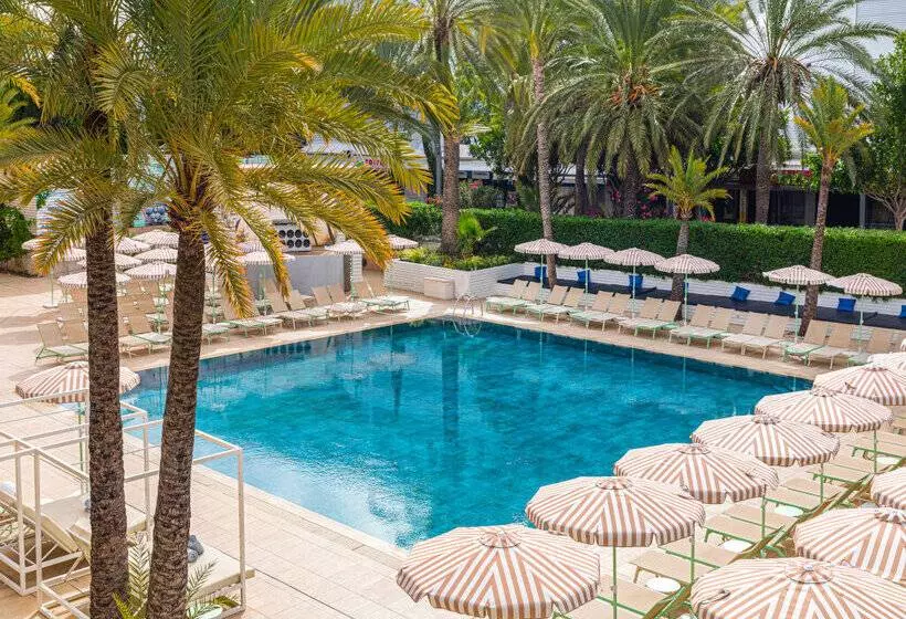 Fotos del hotel Sol House The Studio - Calviá Beach:  37