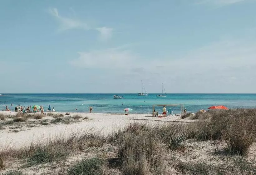 Fotos del hotel Xaloc Playa:  18