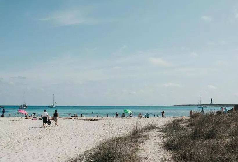 Fotos del hotel Xaloc Playa:  8