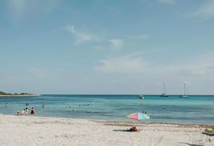 Fotos del hotel Xaloc Playa:  15