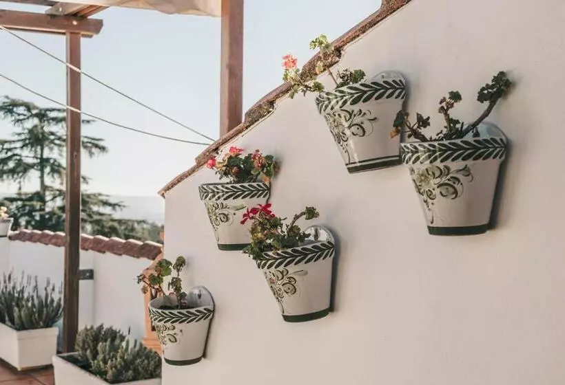 Fotos del hotel Ayre Hotel Córdoba:  21