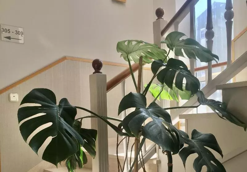 Fotos del hotel Crunia I A Coruña:  4