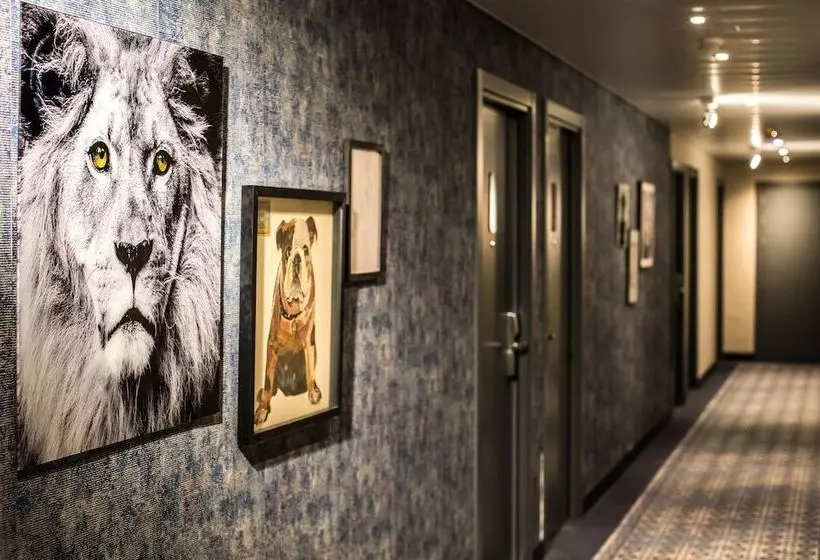 Fotos del hotel Nyx  Madrid By Leonardo S:  11