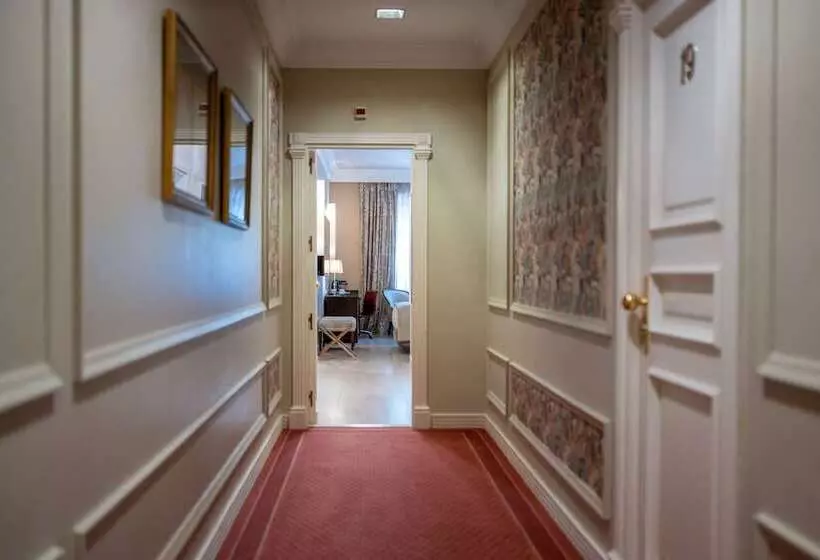 Fotos del hotel Rector:  2