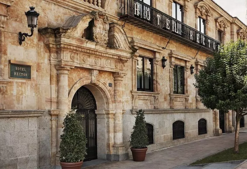 Fotos del hotel Rector:  8