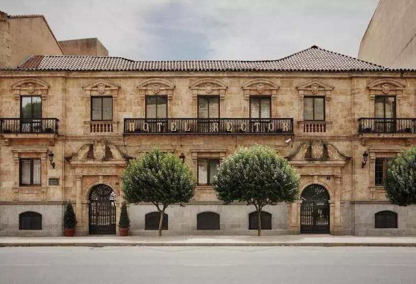 Fotos del hotel Rector:  18