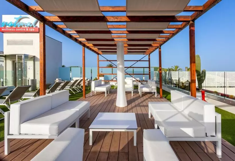 Fotos del hotel Alexandre  Gala:  13