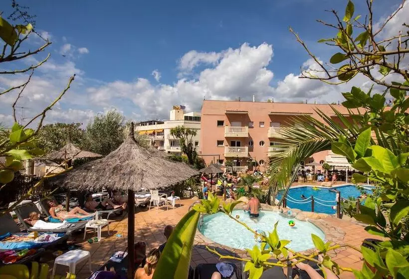 Fotos del hotel Alba Seleqtta:  25