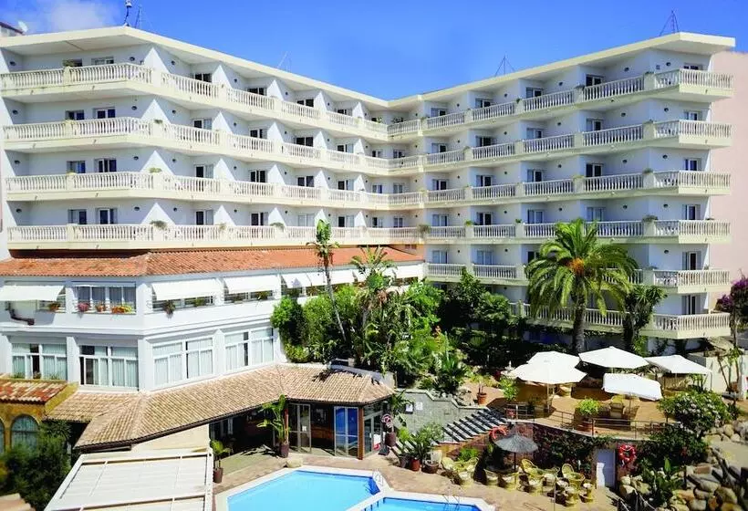 Fotos del hotel Alba Seleqtta:  8