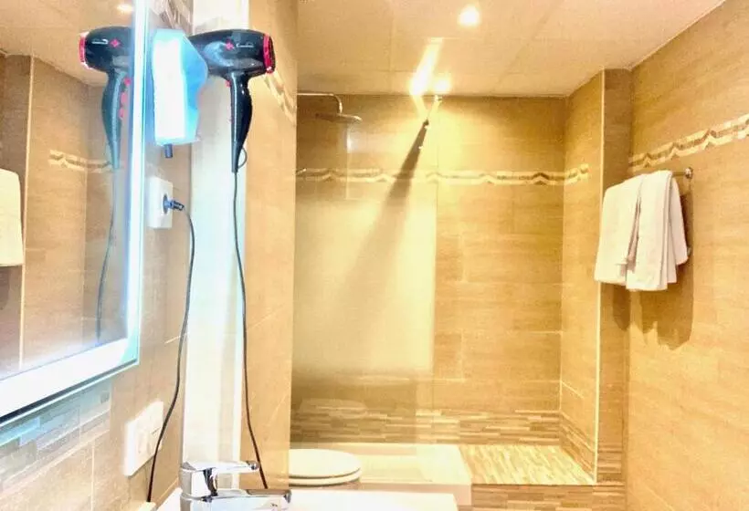 Fotos del hotel Don Miguel:  6