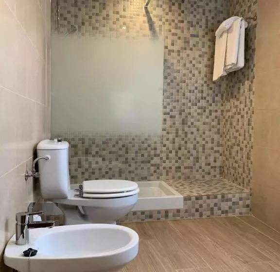 Fotos del hotel Don Miguel:  3