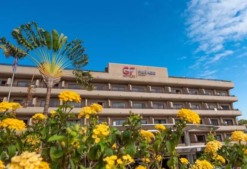 Fotos del hotel Gf Fañabe:  12