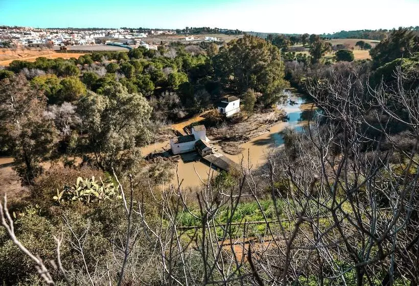 Fotos del hotel Oromana:  12