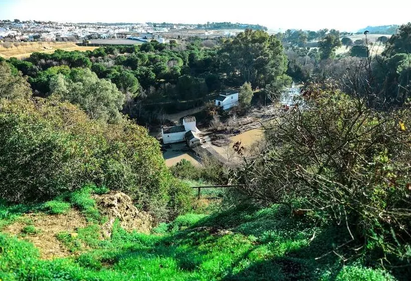 Fotos del hotel Oromana:  15