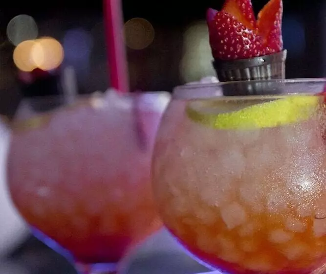 Fotos del hotel Trovador:  7