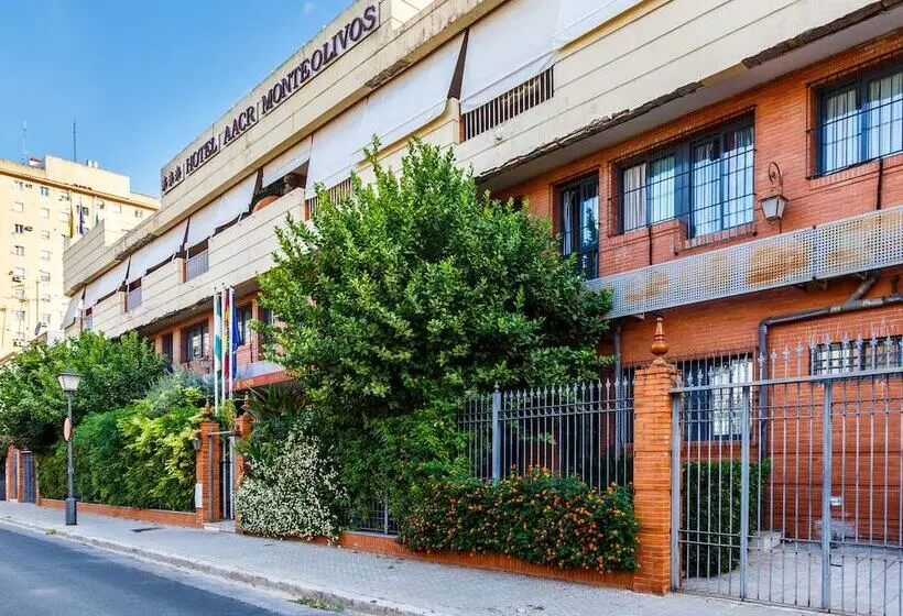 Fotos del hotel Aacr Hotel Monteolivos:  17