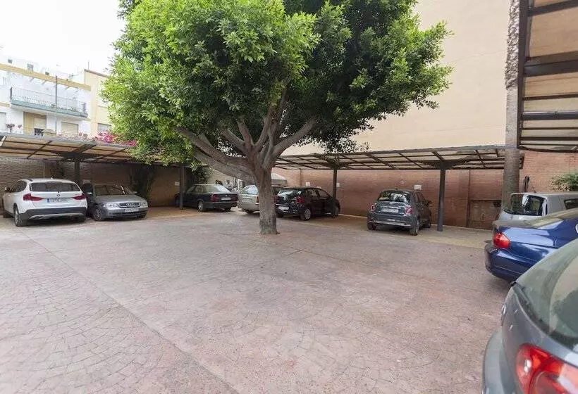 Fotos del hotel Aacr Hotel Monteolivos:  7