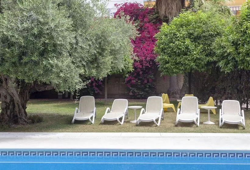 Fotos del hotel Aacr Hotel Monteolivos:  25