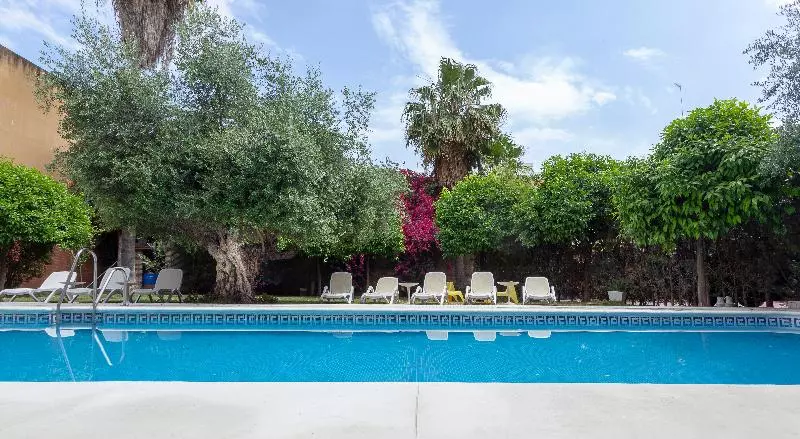 Fotos del hotel Aacr Hotel Monteolivos:  19