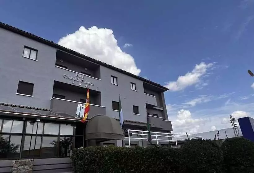 Fotos del hotel Ciudad De Plasencia:  8