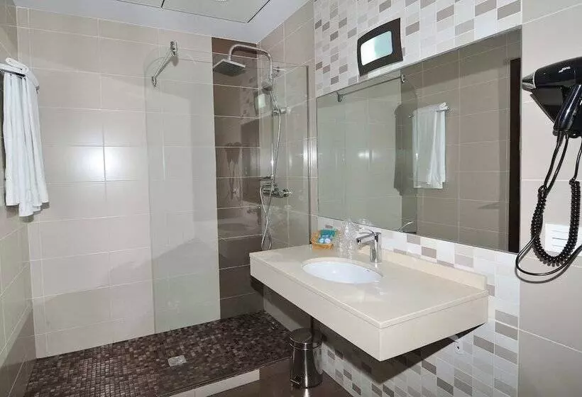 Fotos del hotel Ciudad De Plasencia:  13