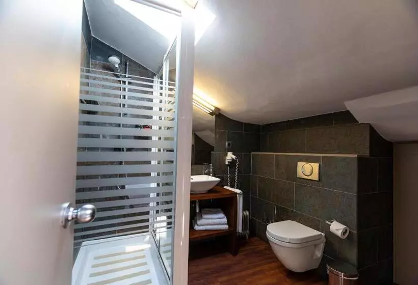 Fotos del hotel Del Prado:  6