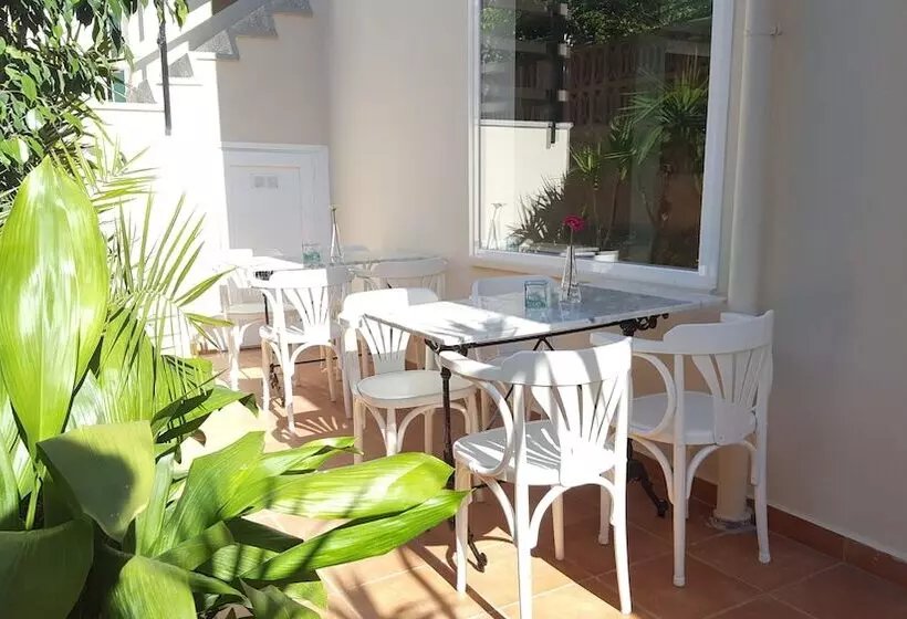 Fotos del hotel Creta Paguera:  5