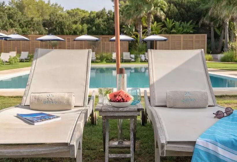 Fotos del hotel Gecko  & Beach Club:  15