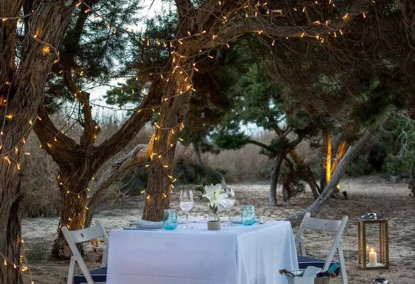 Fotos del hotel Gecko  & Beach Club:  21