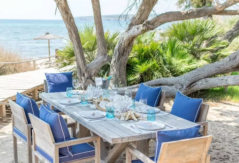 Fotos del hotel Gecko  & Beach Club:  16