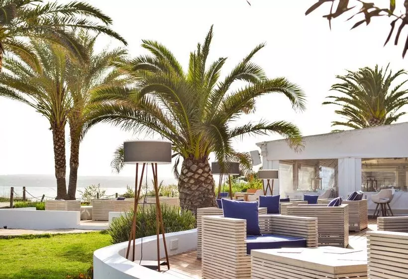 Fotos del hotel Gecko  & Beach Club:  17