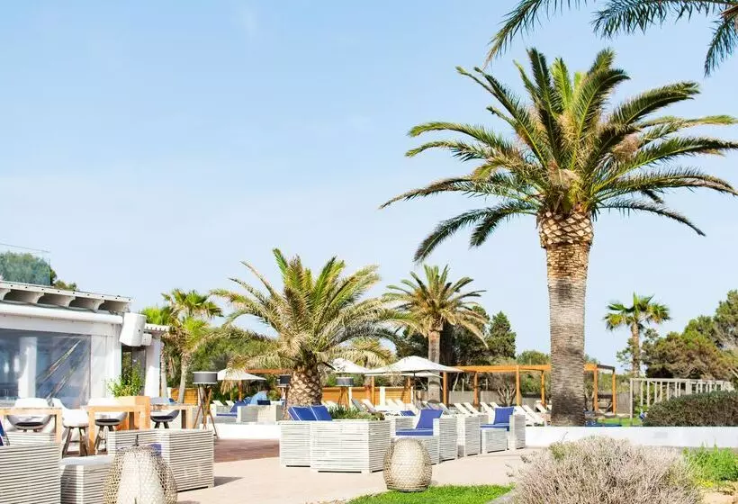 Fotos del hotel Gecko  & Beach Club:  13