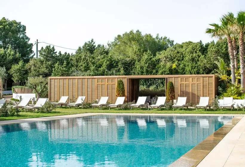 Fotos del hotel Gecko  & Beach Club:  10