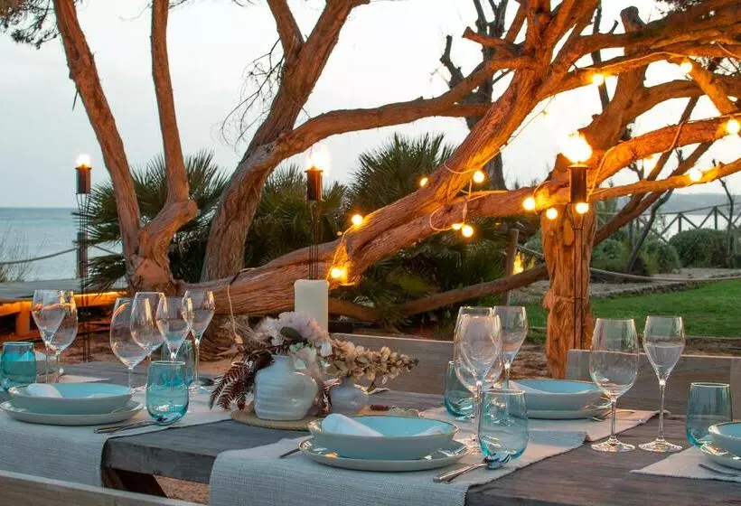 Fotos del hotel Gecko  & Beach Club:  14