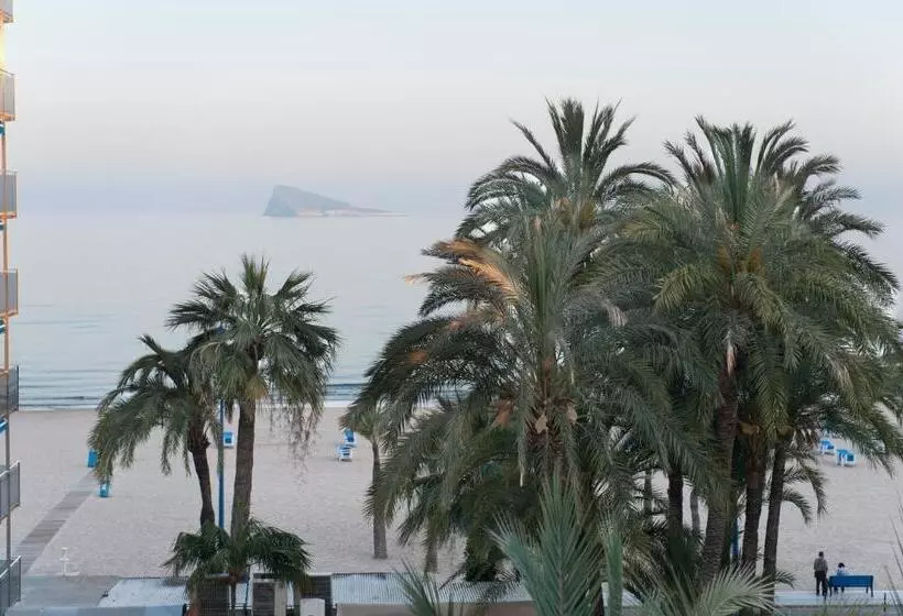 Fotos del hotel El Palmeral:  9