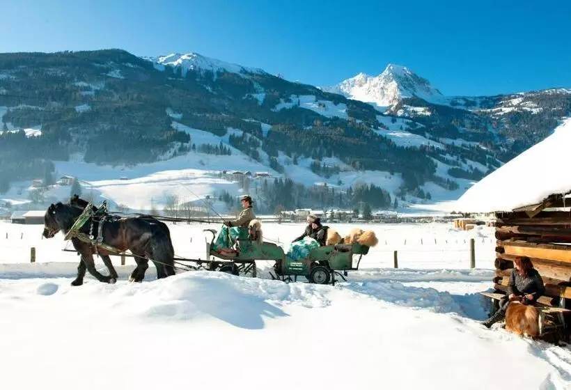 Fotos del hotel Familienhotel Sonngastein:  20