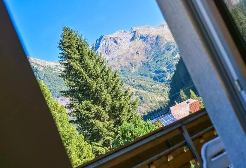 Fotos del hotel Ferienhotel Alber:  6