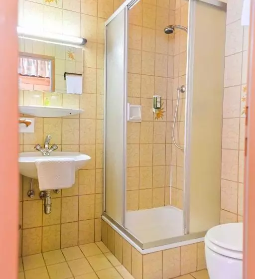 Fotos del hotel Ferienhotel Alber:  9