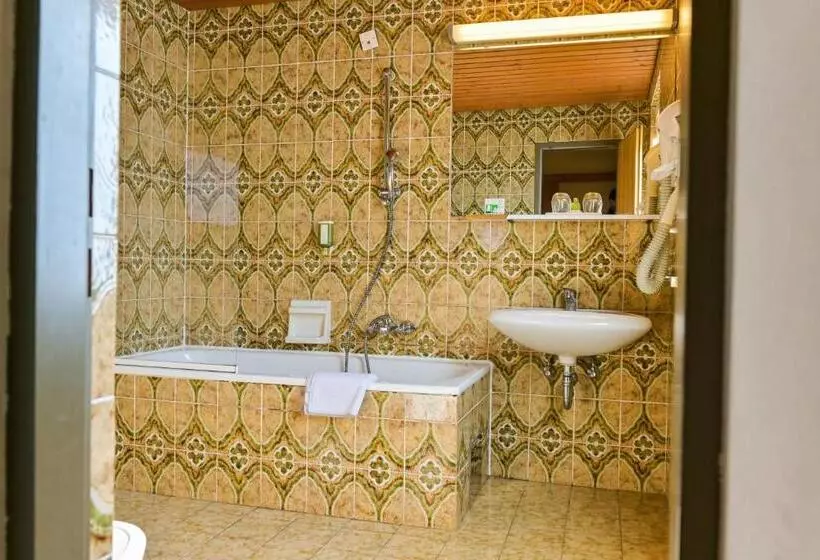 Fotos del hotel Ferienhotel Alber:  5