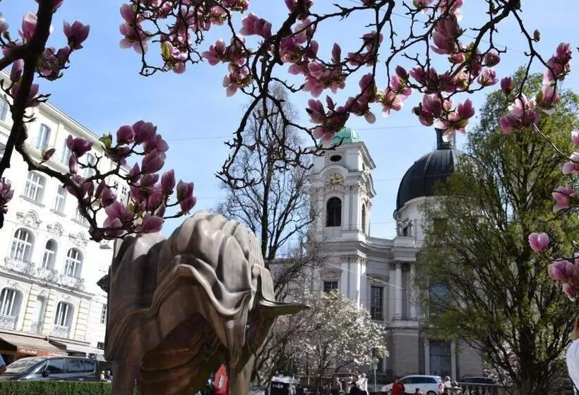 Fotos del hotel Atel Hotel Lasserhof:  9