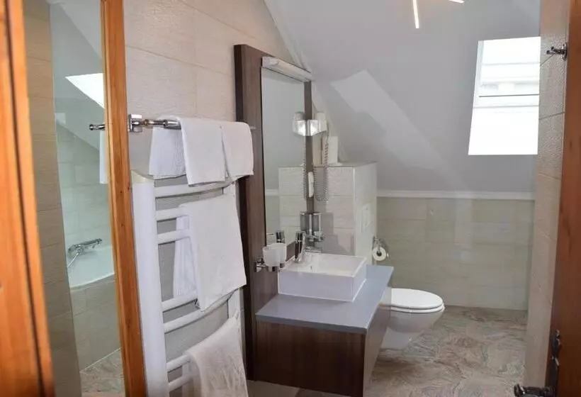 Fotos del hotel Atel Hotel Lasserhof:  8