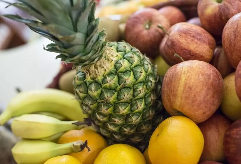 Fotos del hotel Austria  Wien:  11