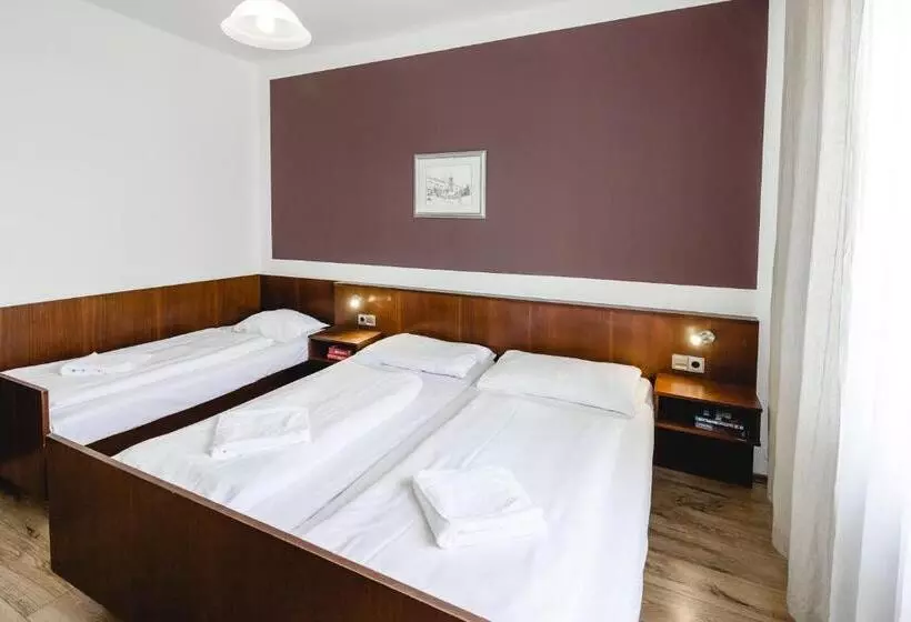 Fotos del hotel Hoffinger:  8