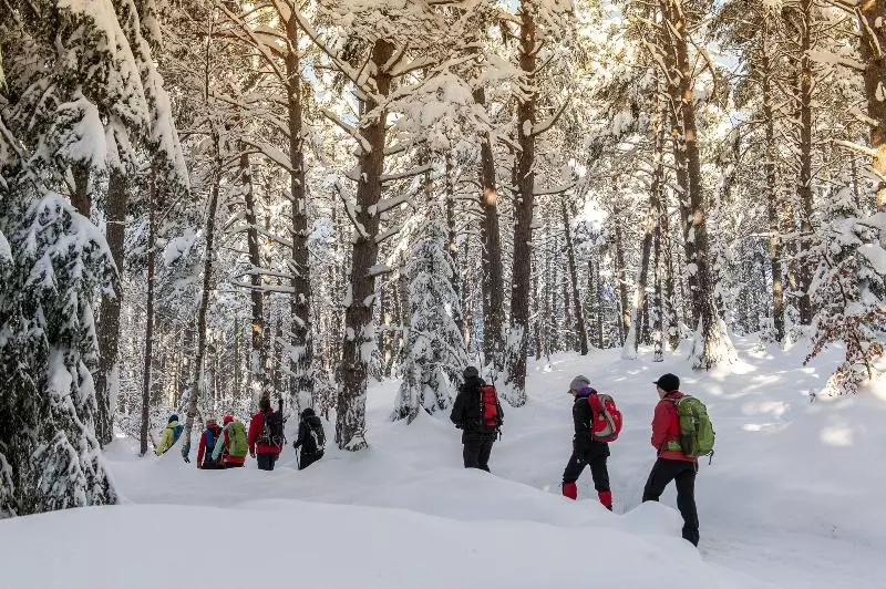 Fotos del hotel Parkhotel Seefeld:  17