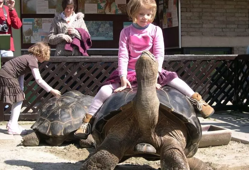 Fotos del hotel Sandwirth:  17