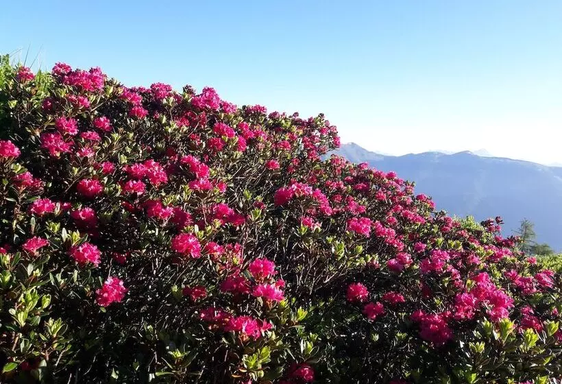 Fotos del hotel Zum Hirschen:  7