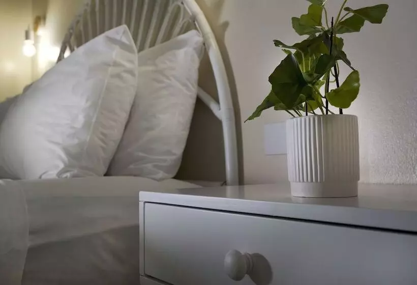 Fotos del hotel Cairns Rainbow Resort:  16